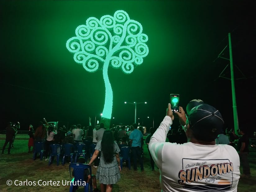 ARBOL-(15)