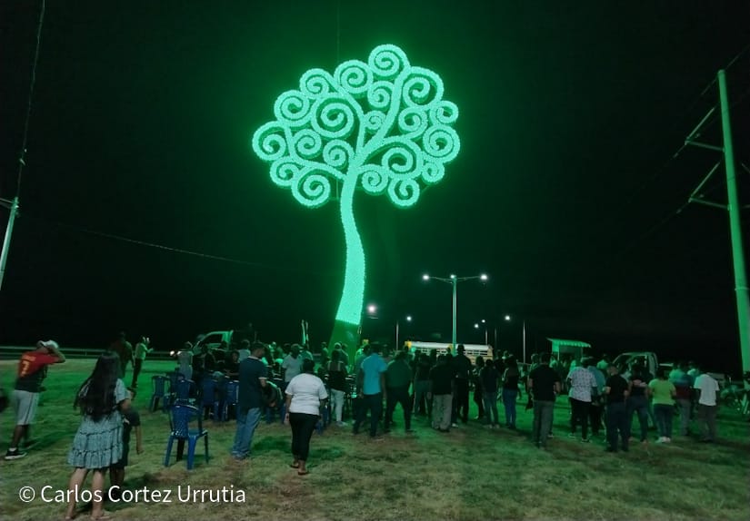 ARBOL-(17)
