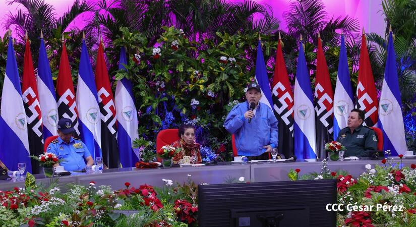 EJERCITO29