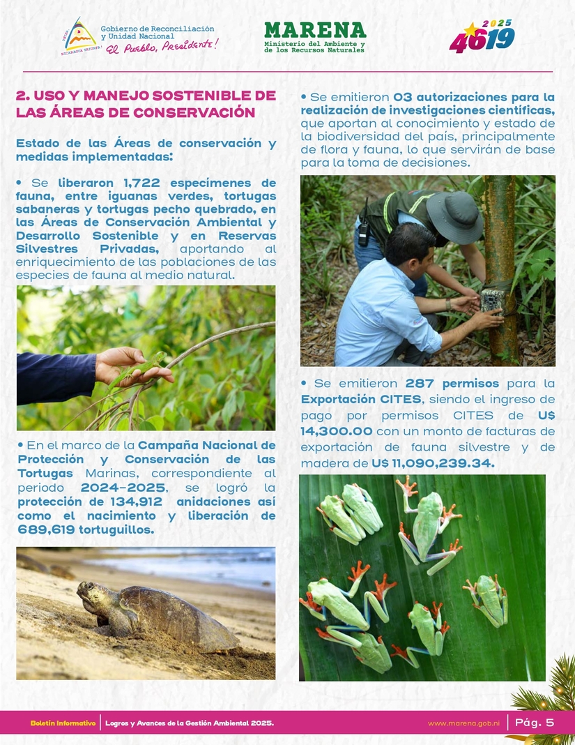 Gestion-Ambiental-6