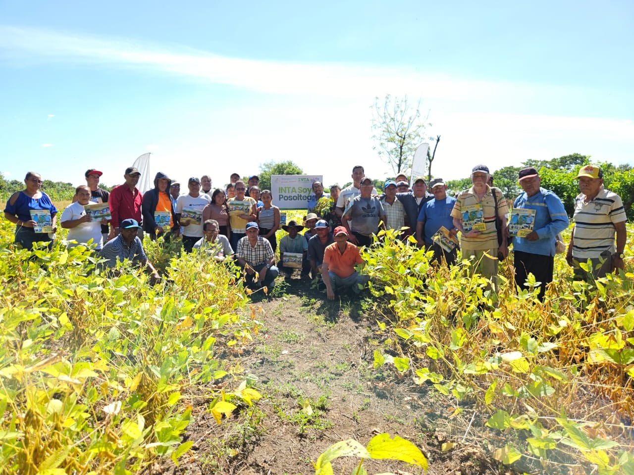 SORGO6