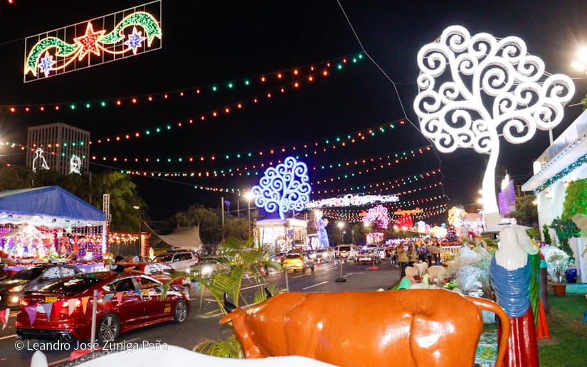 AVENIDA-(2)