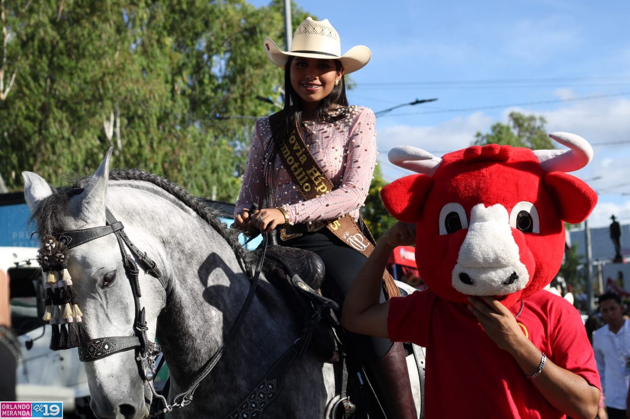 ESTELI-(12)