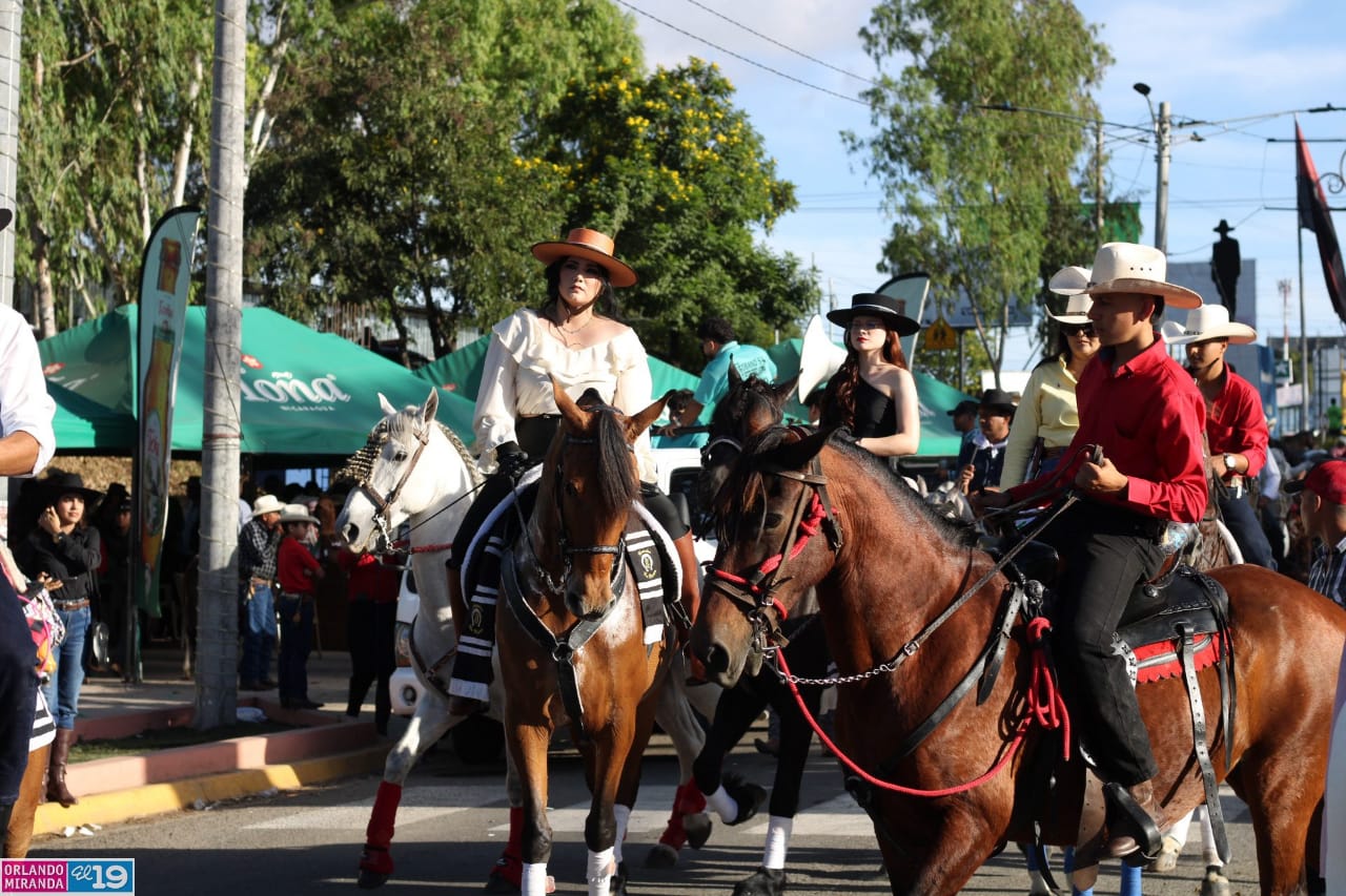 ESTELI-(17)
