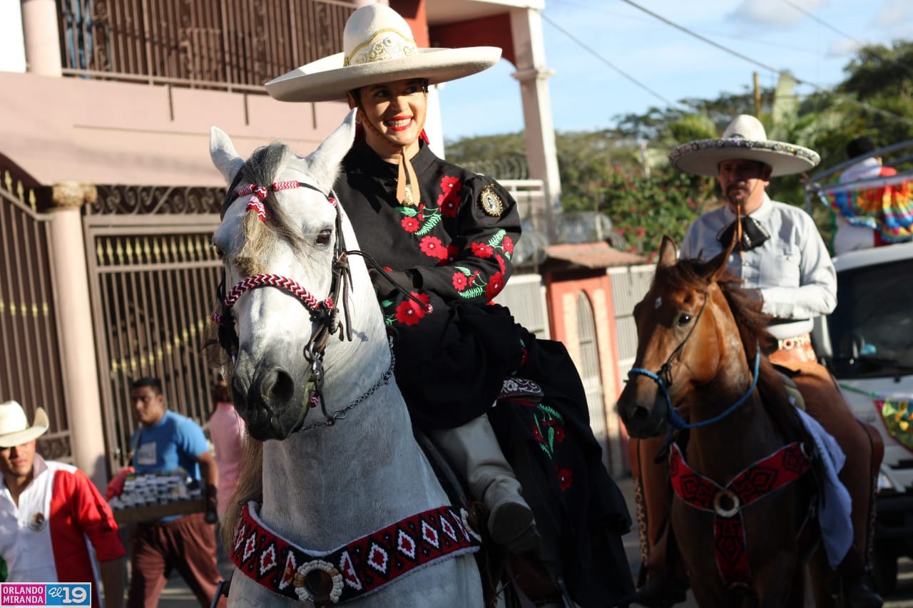 ESTELI-(19)