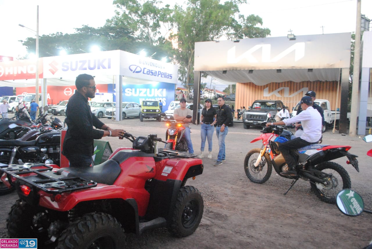 ESTELI-(24)