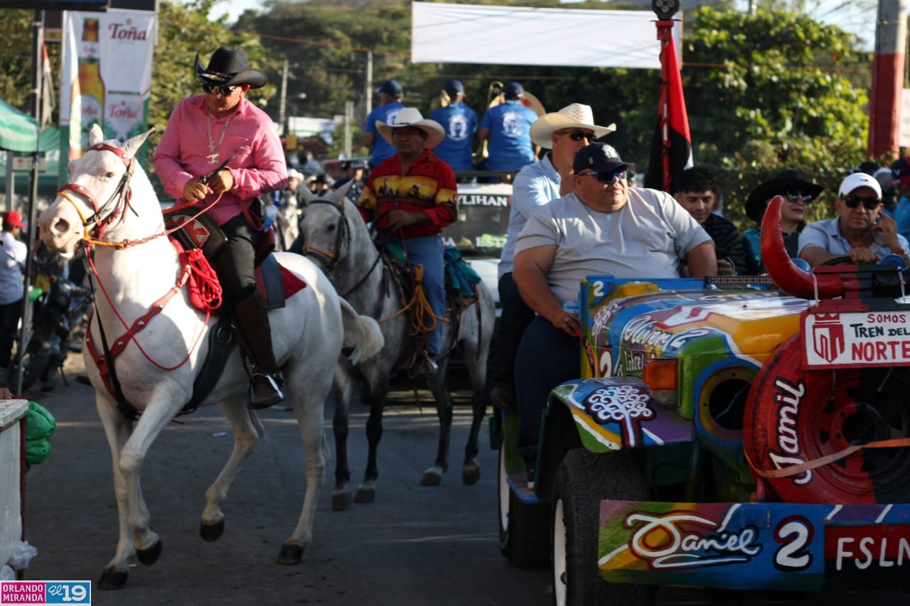 ESTELI-(28)