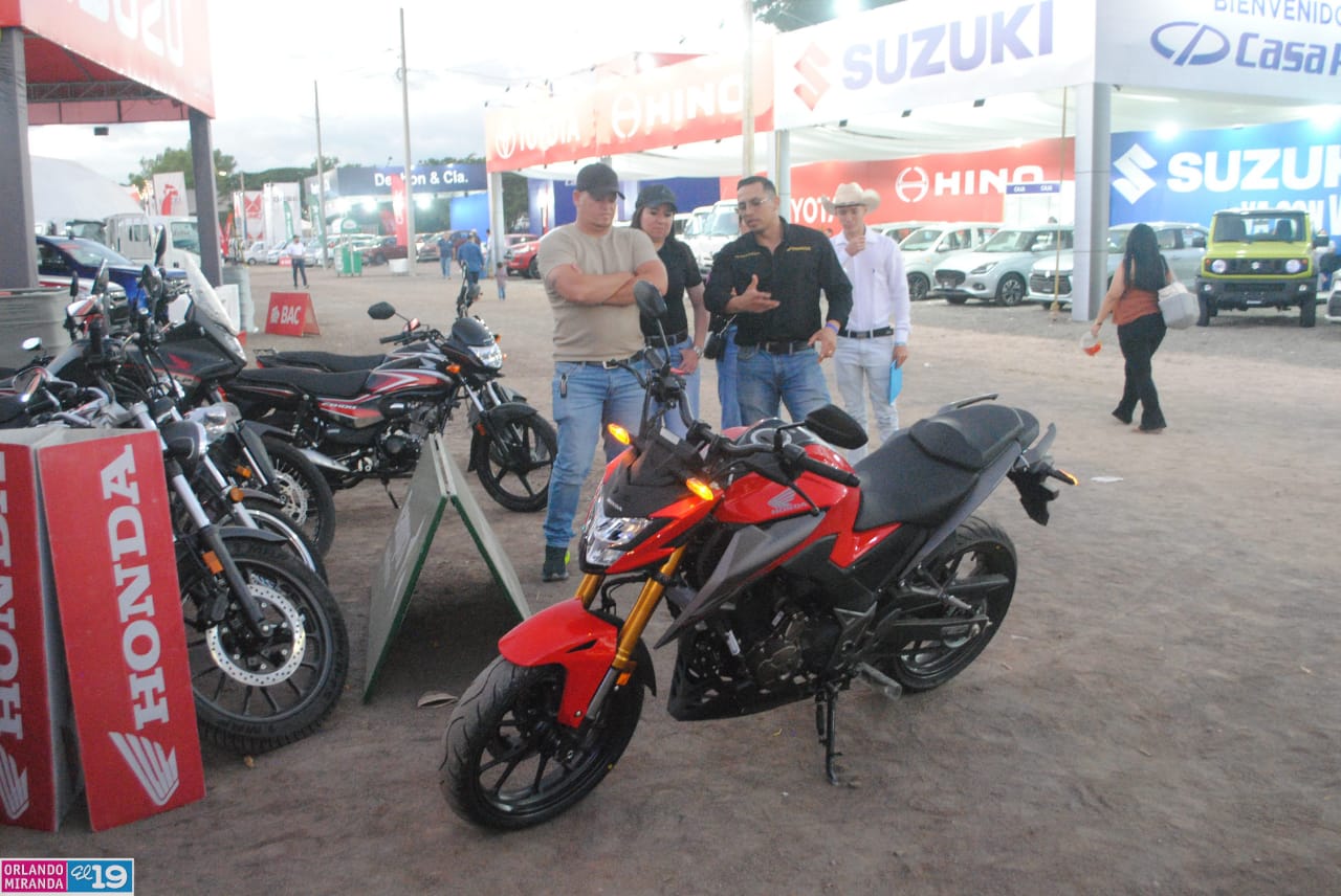 ESTELI-(6)