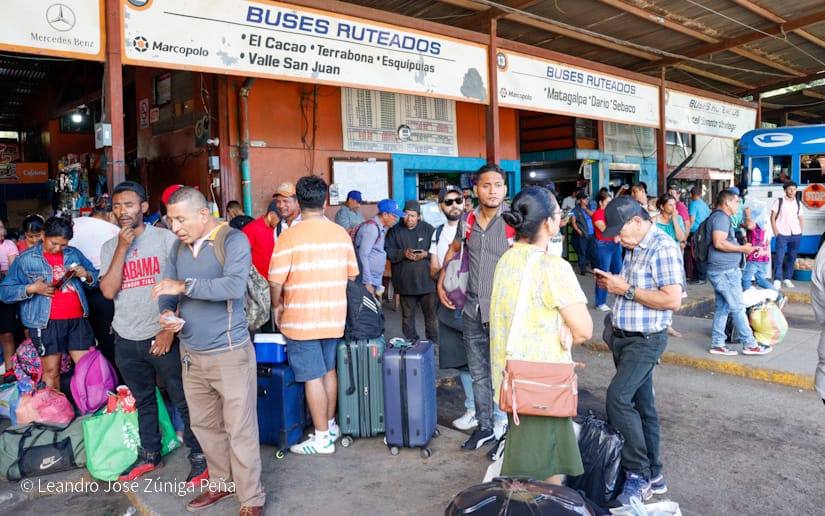 Mercado-Mayoreo--(18)
