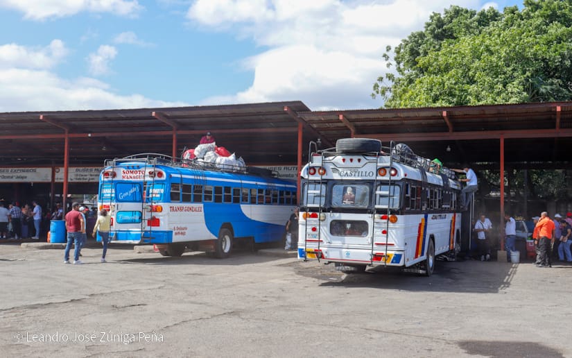 Mercado-Mayoreo--(19)