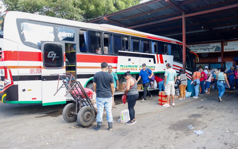Mercado-Mayoreo--(8)