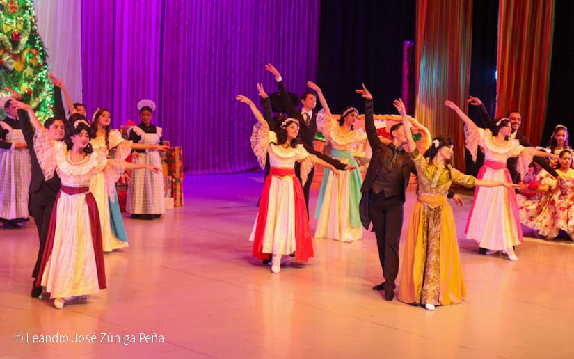 El-Cascanueces--(38)