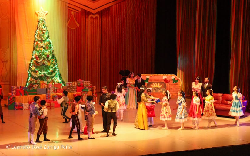 El-Cascanueces--(48)