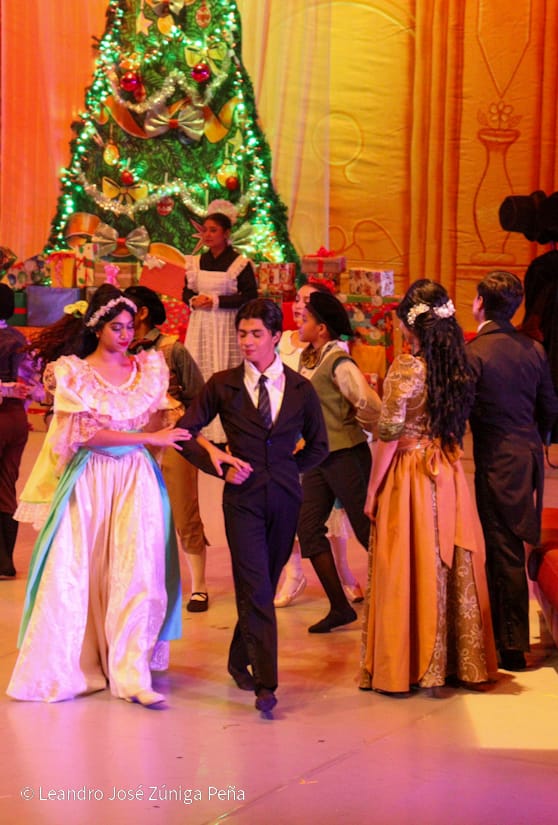 El-Cascanueces--(54)