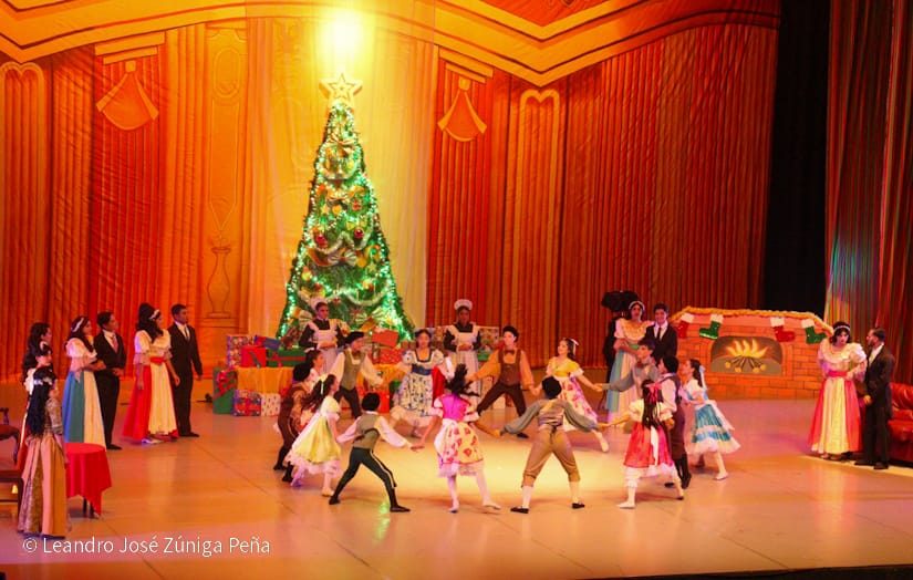 El-Cascanueces--(55)