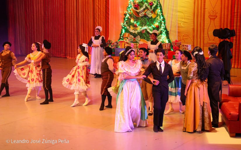 El-Cascanueces--(59)