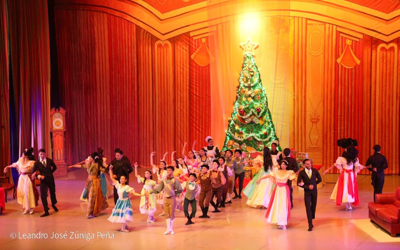 El-Cascanueces--(60)