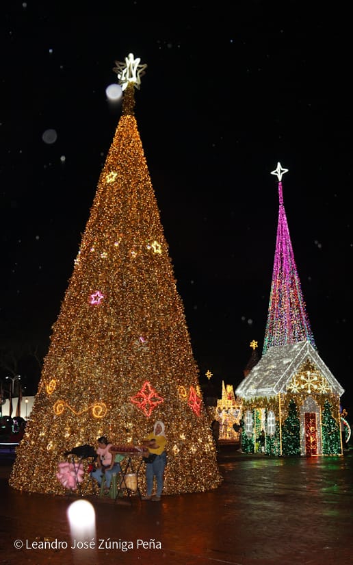 Avenida-Bolivar--(29)