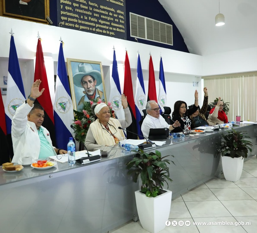 Asamblea-Nacional--(3)