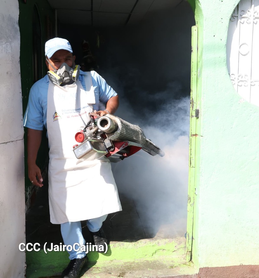 Fumigacion--(4)