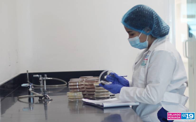 laboratorio-ipsa-6