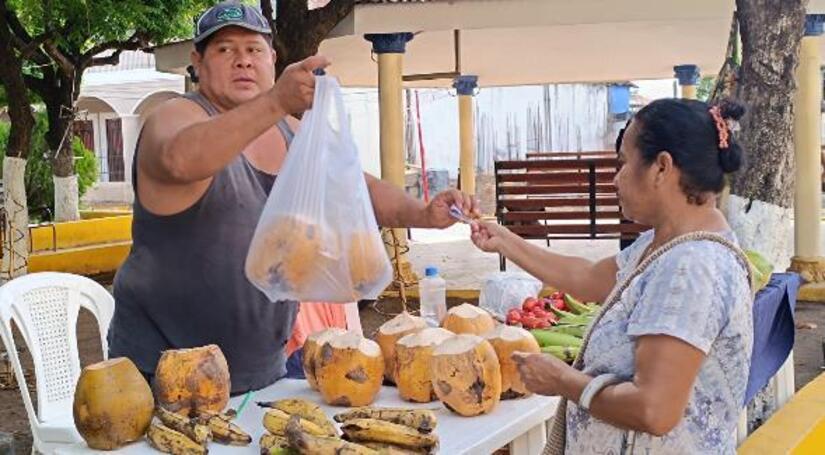 FERIAS14