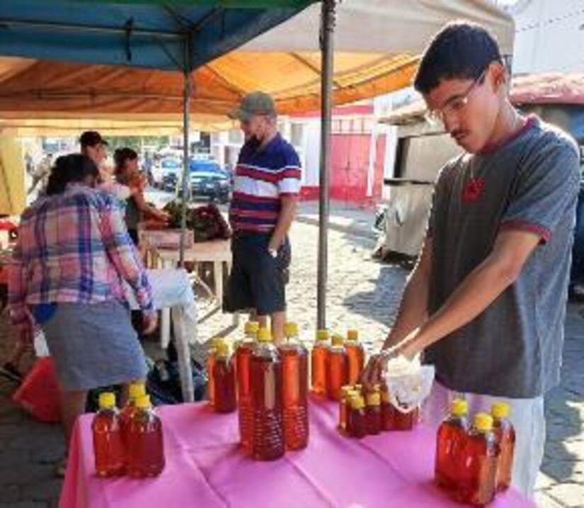 FERIAS2