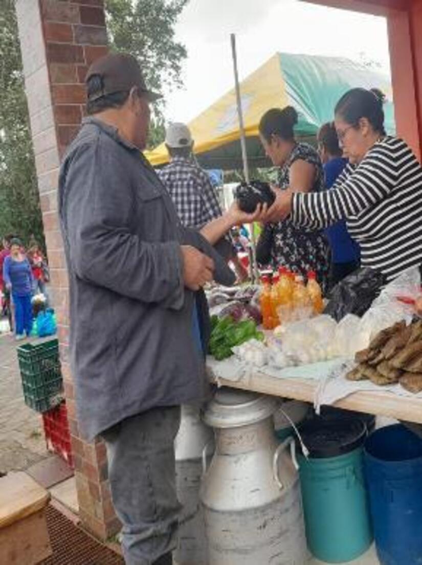 FERIAS8