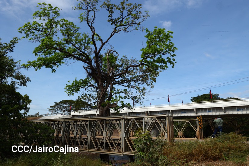 PUENTE8