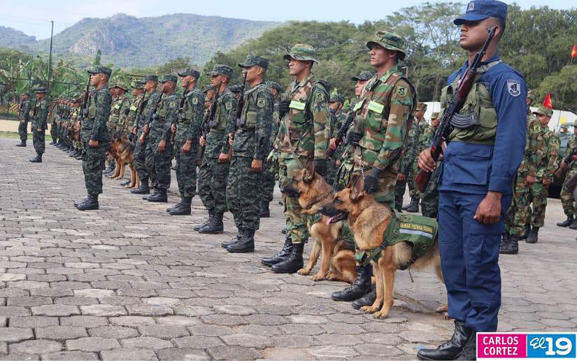 EJERCITO19