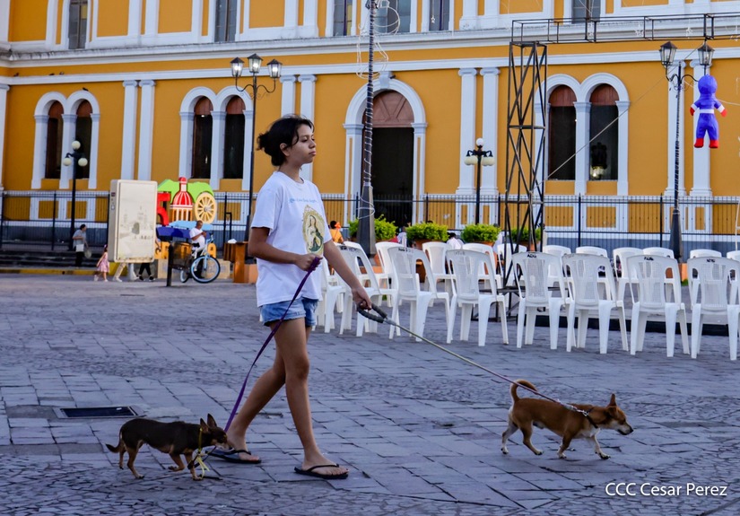 GRANADA-(24)