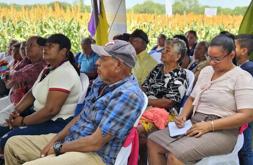 SORGO4