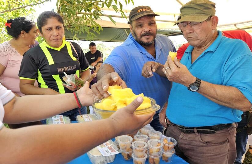 YUCA3