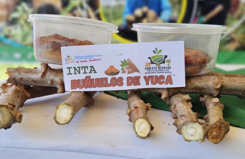YUCA4