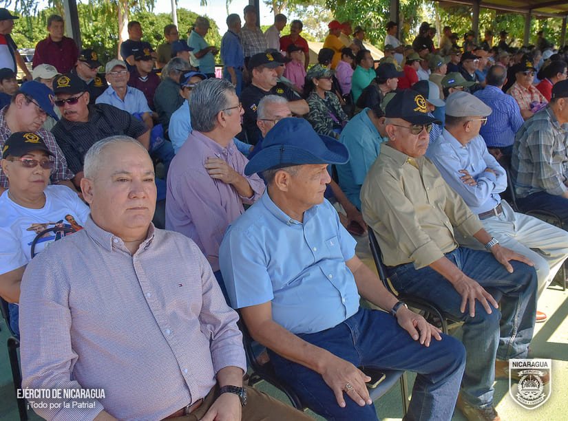 BRIGADA4