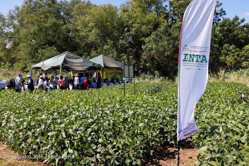 INTA22