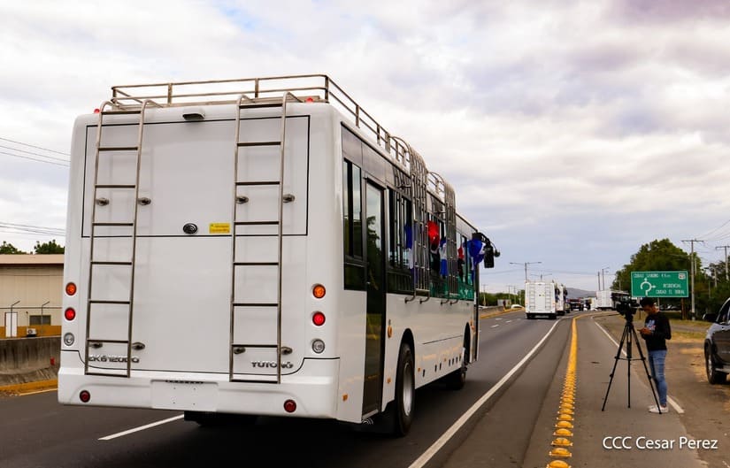 BUSES-(11)