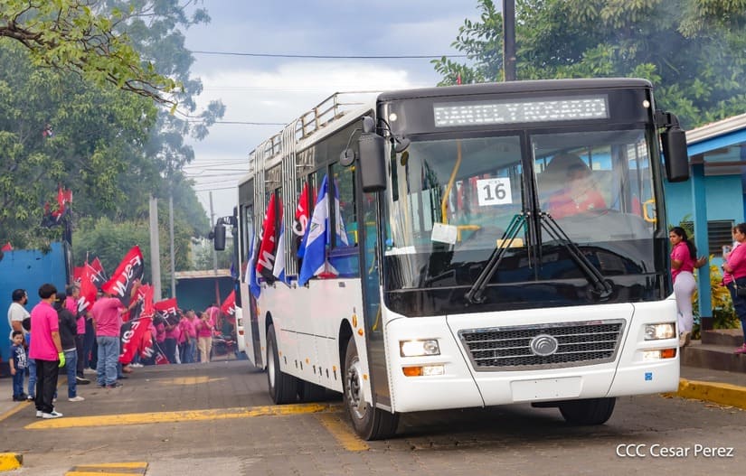 BUSES-(14)