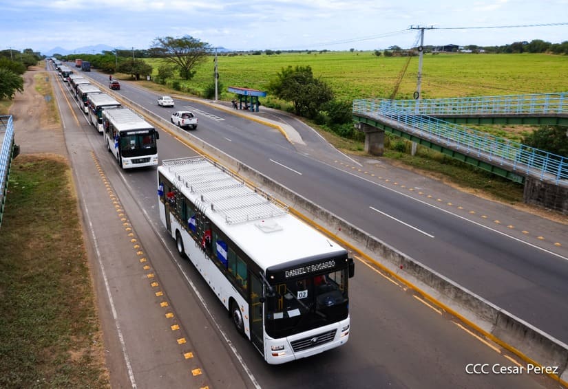 BUSES-(2)