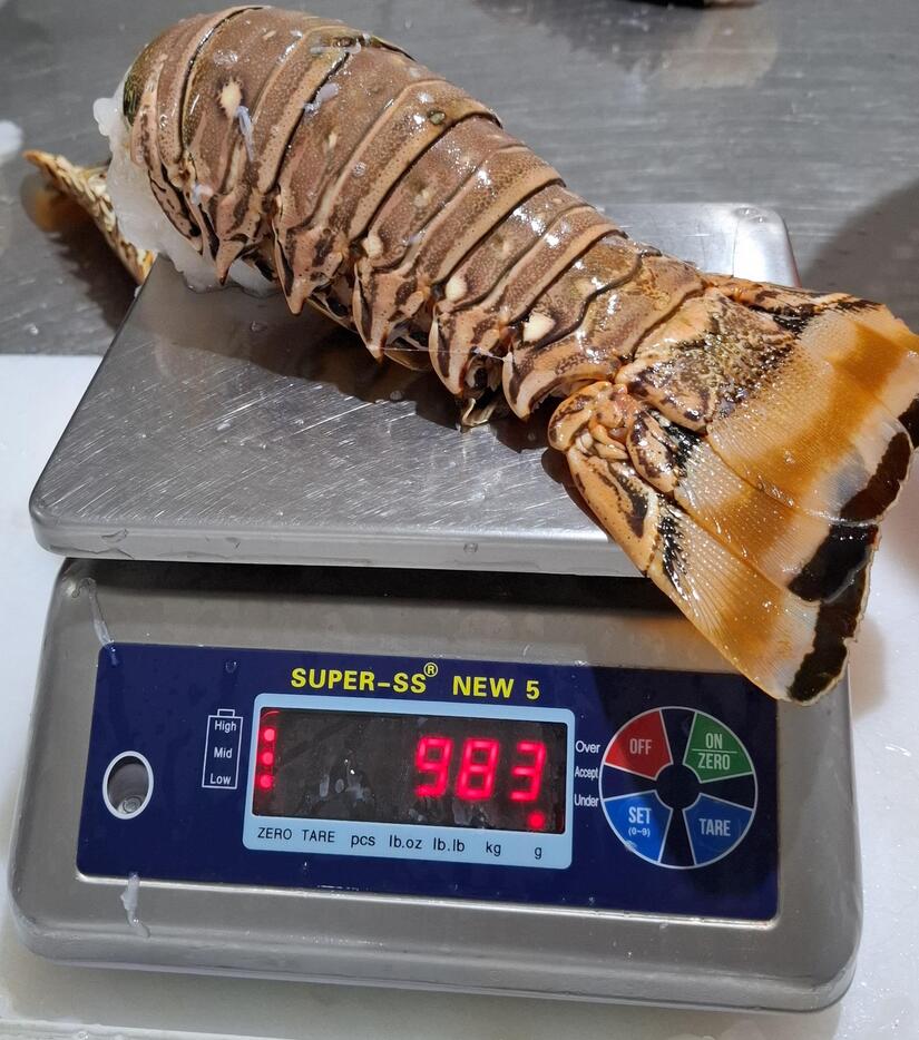 INPESCA6