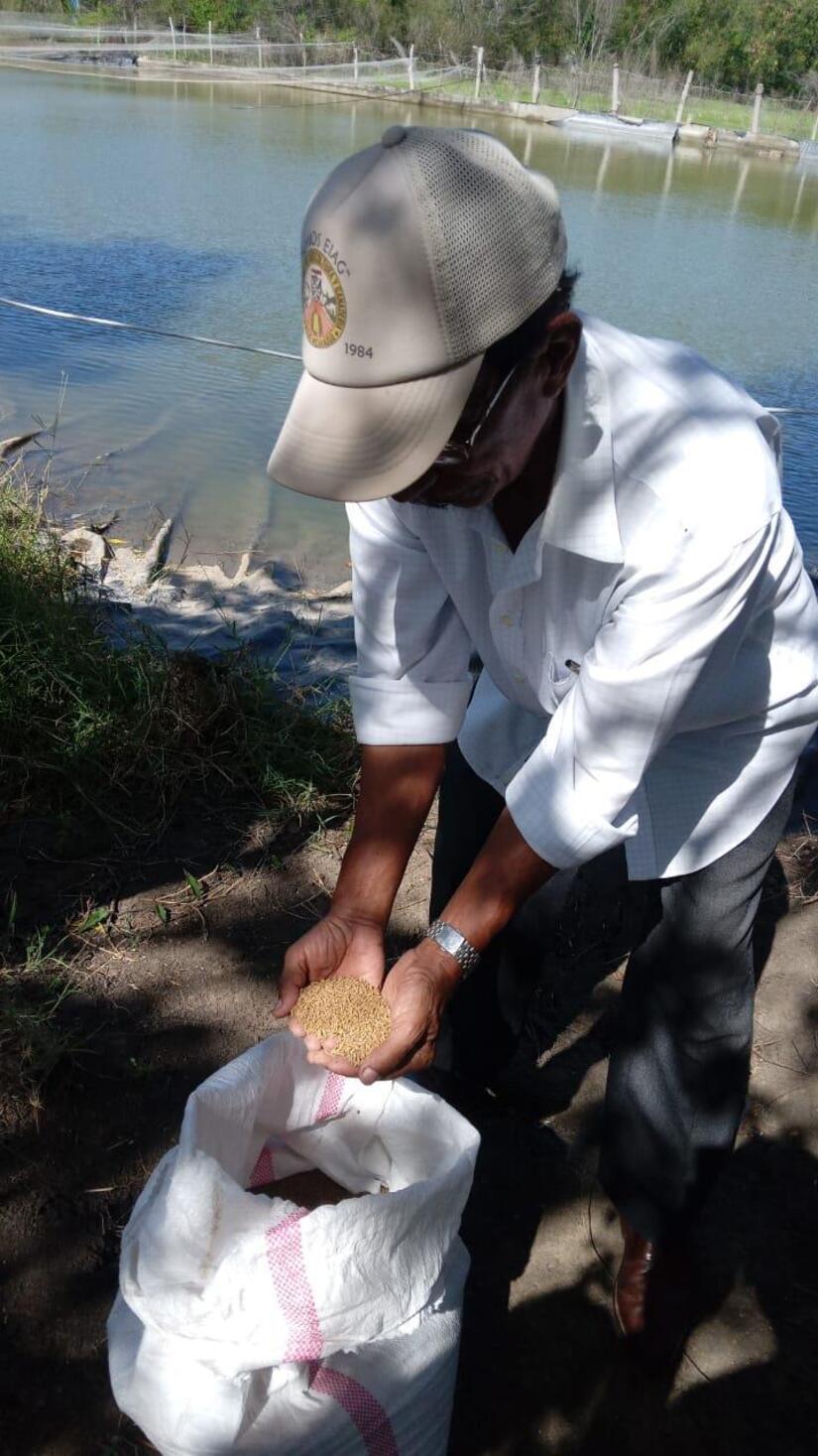 INPESCA8