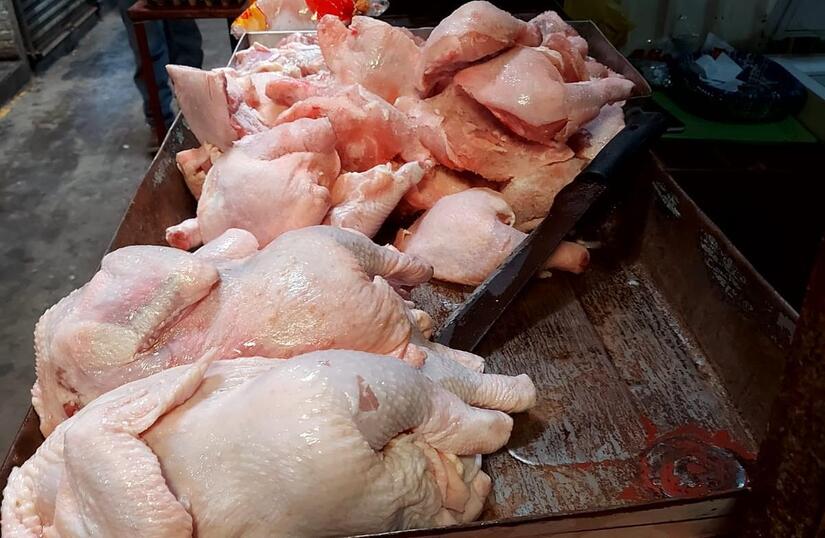 POLLO3