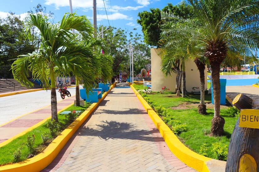 TOLA-(9)