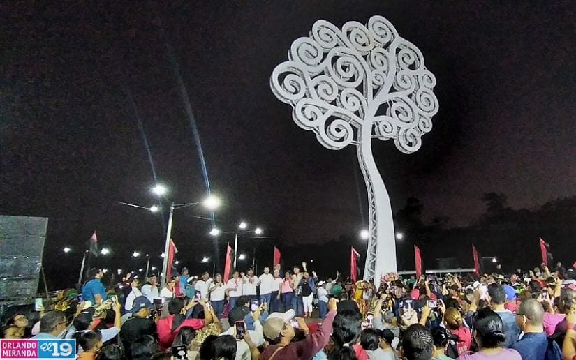 ARBOL11