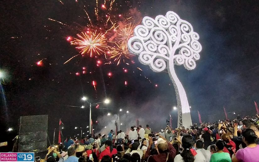 ARBOL9