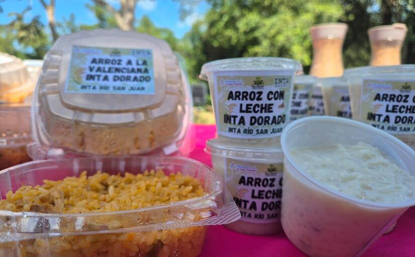 ARROZ5