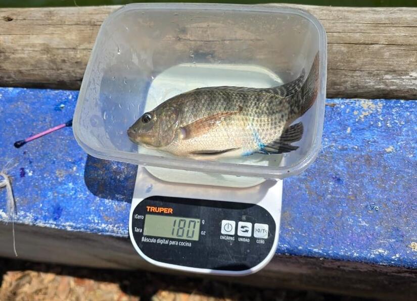 INPESCA2
