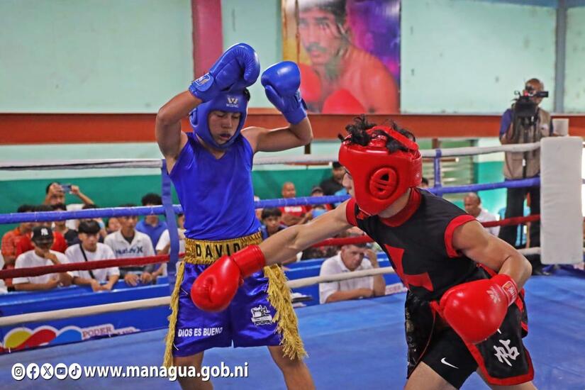 BOXEO1