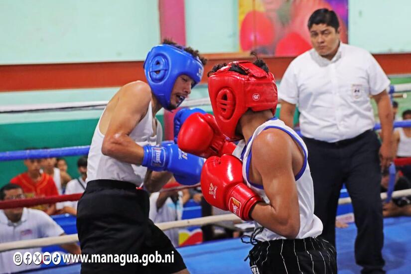 BOXEO13