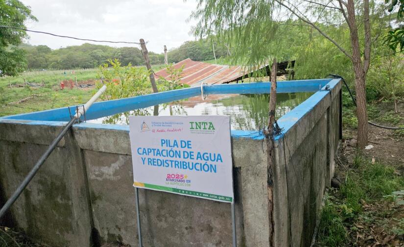 INTA-7